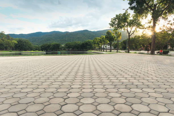 Best Driveway Paver Repair  in Northdale, FL